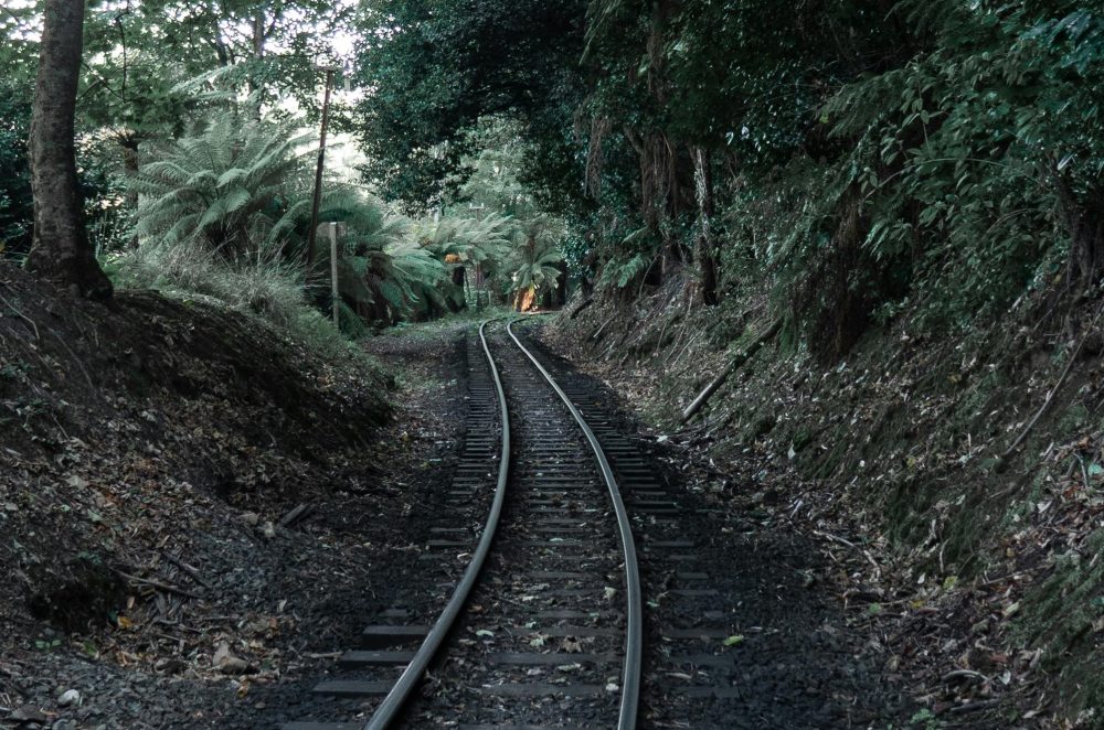 The old man hid his savings in the soil but was eaten by insects. Will the railway sleepers in the soil also be eaten by insects?