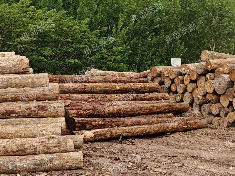 From Woodyard to Railway - The Transformation Path of Sleepers