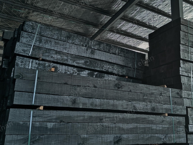 The sleepers remained motionless, yet they lifted the lightning speed of the train